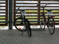muty-pict5998-sluzebni bicykly skoda kvasiny.jpg
